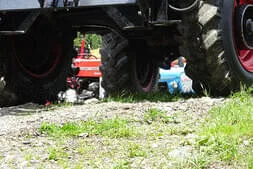 Almausflug auf die Hinterjetzbachalm Bild 31