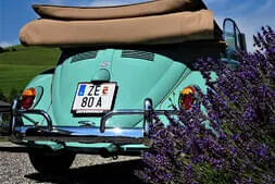 Sommernachtfest 2021