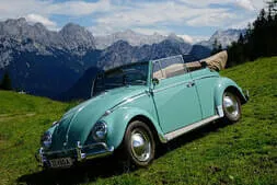 Oldtimer-Picknick Lofer Bild 18