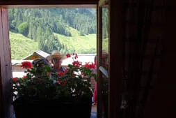 Kelchsau-Niederkaseralm Bild 20
