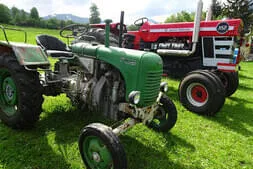 Teichfest Leogang Bild 25