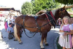 Bauernherbstfest -  Maria Alm 2023 Bild 52