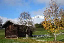 Bratl essn geh Bild 20