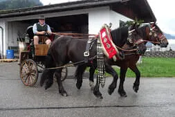Bauernherbst Dorffest Maishofen 2024 Bild 82